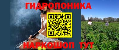 Альфа ПВП Лесосибирск
