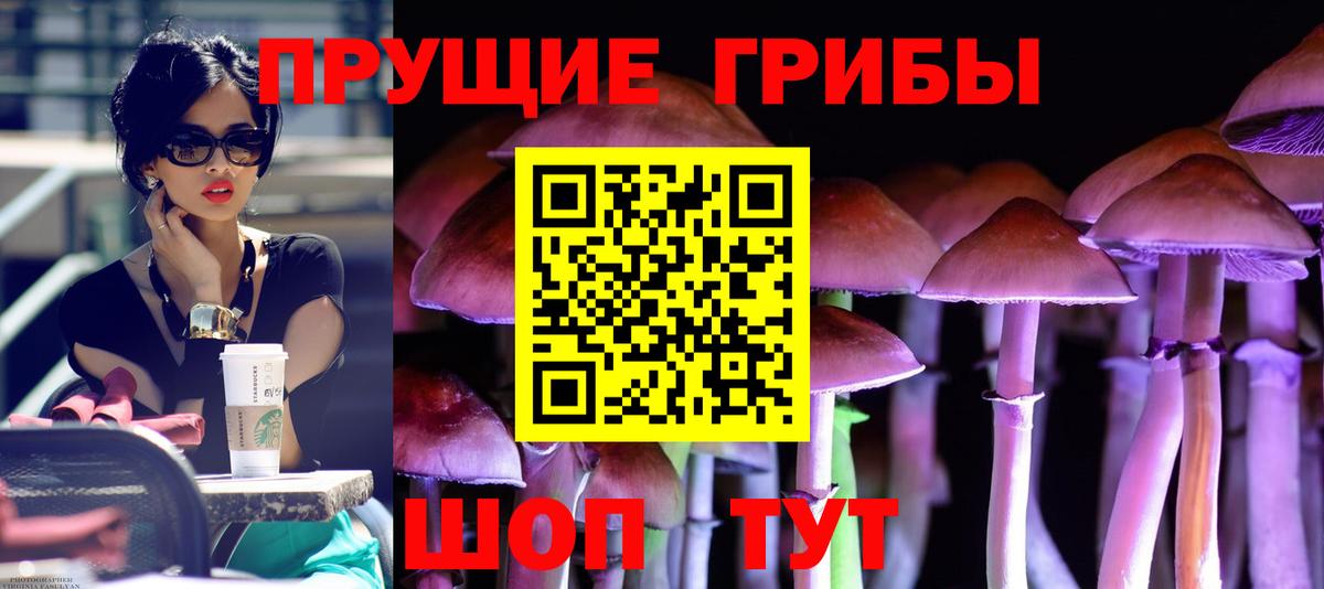 Гуково  Псилоцибиновые грибы GOLDEN TEACHER  Вход с VPN 