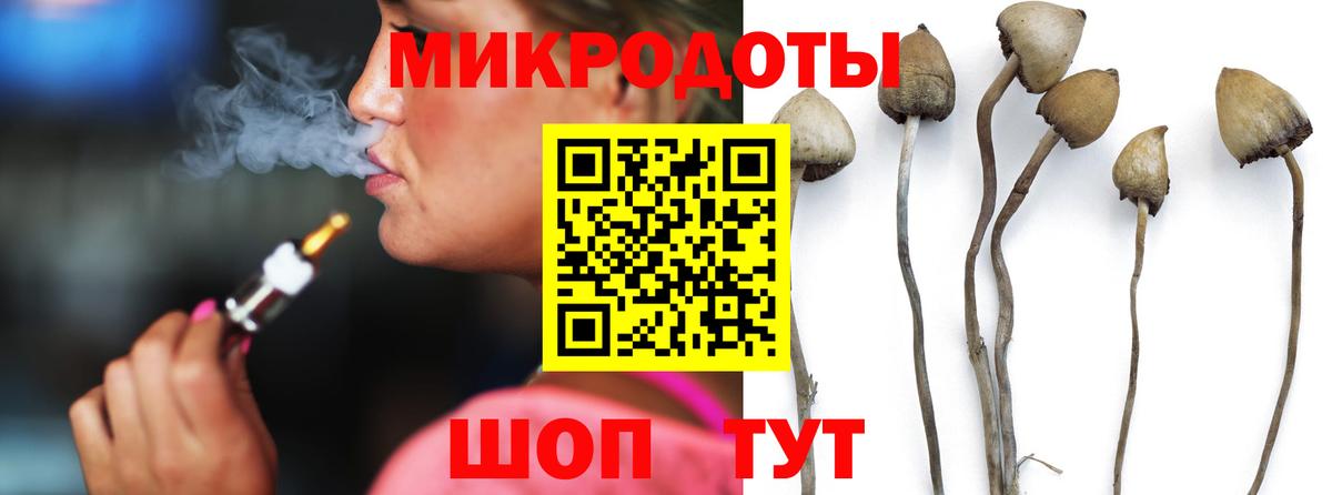 Галлюциногенные грибы MAGIC MUSHROOMS Гуково